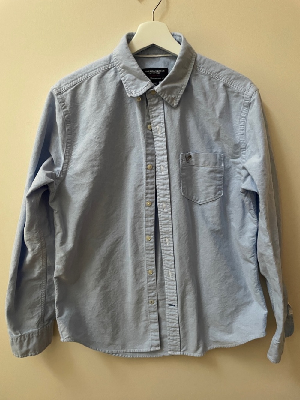 American Eagle Outfitters Pale Blue Long-Sleeve Button-Down Shirt